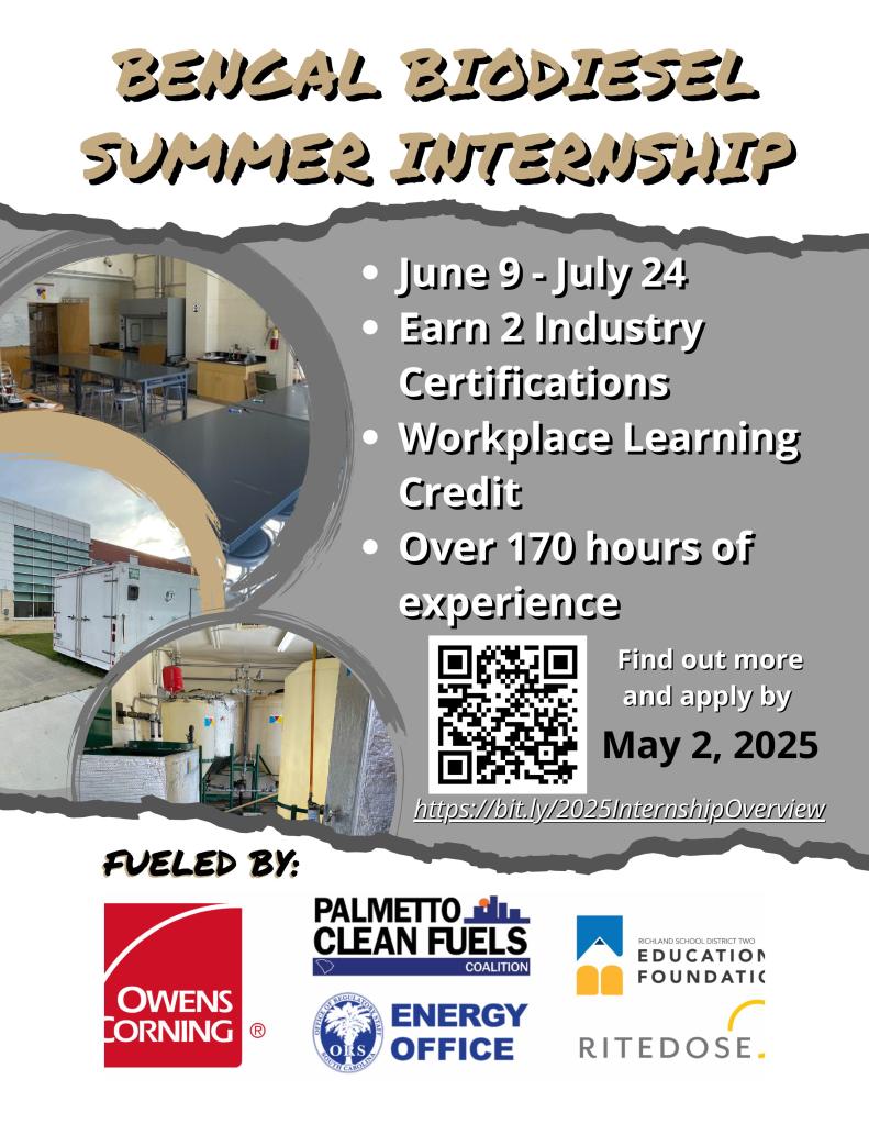 diodiesel internship flyer